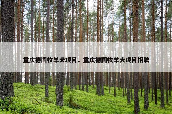 重庆德国牧羊犬项目，重庆德国牧羊犬项目招聘