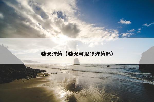 柴犬洋葱（柴犬可以吃洋葱吗）