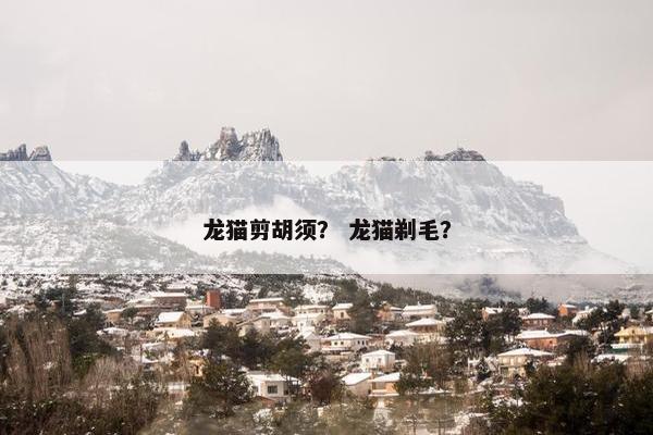 龙猫剪胡须？ 龙猫剃毛？