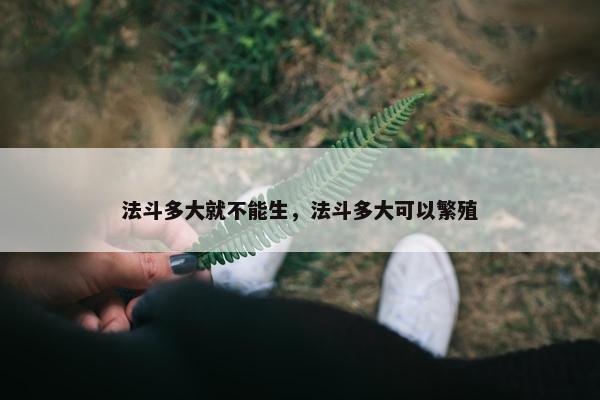 法斗多大就不能生，法斗多大可以繁殖