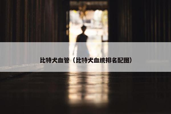 比特犬血管（比特犬血统排名配图）