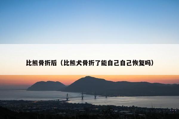 比熊骨折后（比熊犬骨折了能自己自己恢复吗）