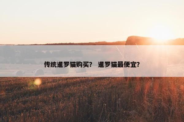 传统暹罗猫购买？ 暹罗猫最便宜？