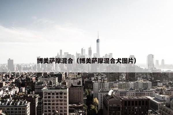 博美萨摩混合（博美萨摩混合犬图片）