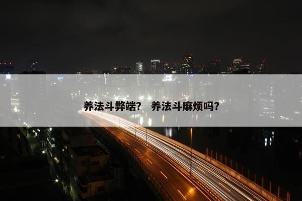 养法斗弊端？ 养法斗麻烦吗？