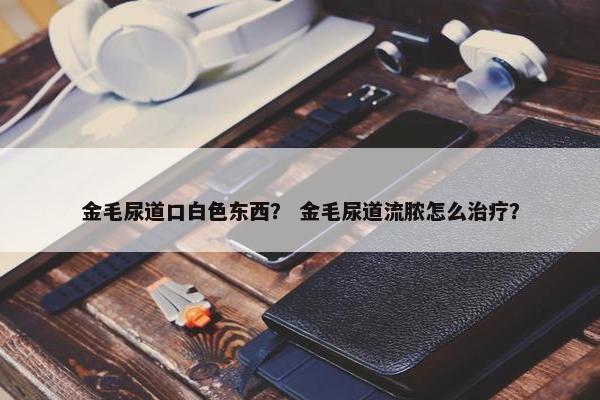 金毛尿道口白色东西？ 金毛尿道流脓怎么治疗？