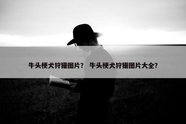 牛头梗犬狩猎图片？ 牛头梗犬狩猎图片大全？