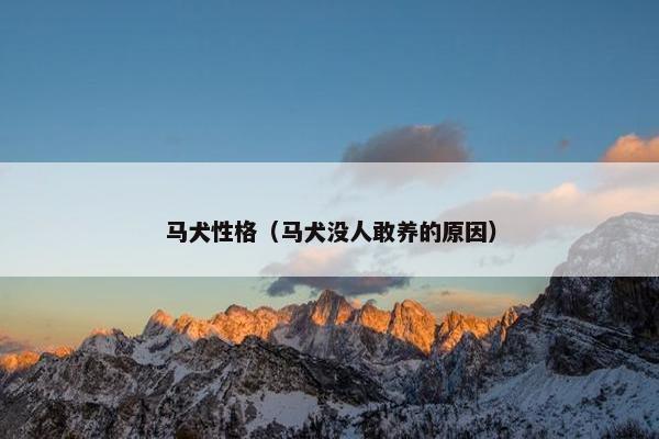 马犬性格（马犬没人敢养的原因）