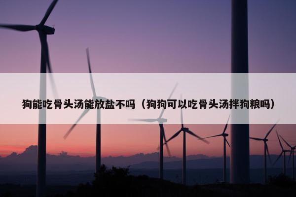 狗能吃骨头汤能放盐不吗（狗狗可以吃骨头汤拌狗粮吗）