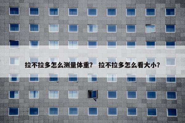 拉不拉多怎么测量体重？ 拉不拉多怎么看大小？