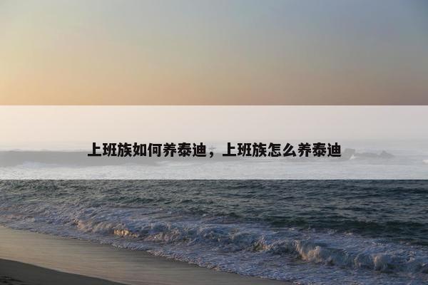 上班族如何养泰迪，上班族怎么养泰迪
