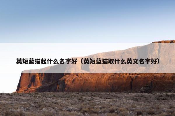 英短蓝猫起什么名字好（英短蓝猫取什么英文名字好）