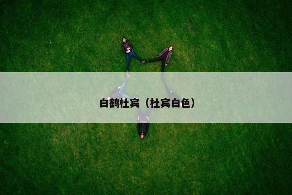 白鹤杜宾（杜宾白色）
