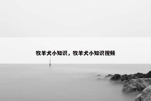牧羊犬小知识，牧羊犬小知识视频