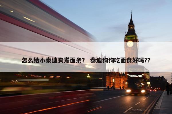 怎么给小泰迪狗煮面条？ 泰迪狗狗吃面食好吗?？