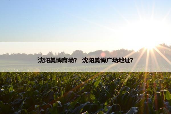 沈阳美博商场？ 沈阳美博广场地址？