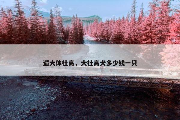 遛大体杜高，大杜高犬多少钱一只