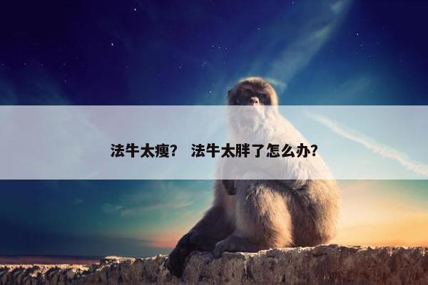 法牛太瘦？ 法牛太胖了怎么办？