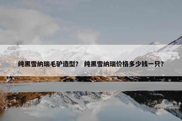 纯黑雪纳瑞毛驴造型？ 纯黑雪纳瑞价格多少钱一只？