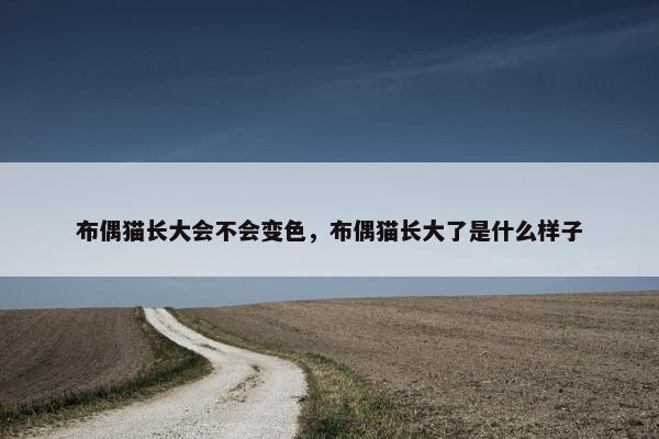 布偶猫长大会不会变色，布偶猫长大了是什么样子