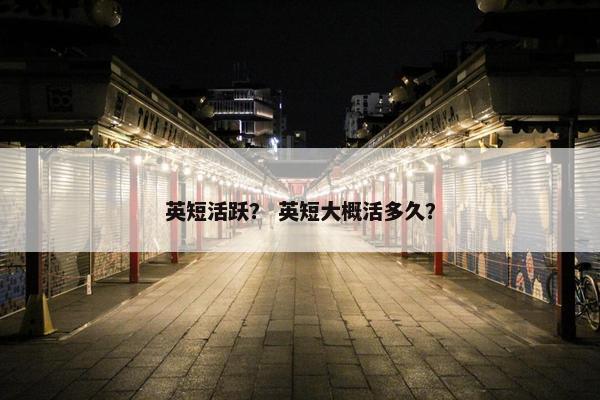 英短活跃？ 英短大概活多久？