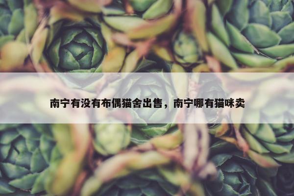 南宁有没有布偶猫舍出售，南宁哪有猫咪卖