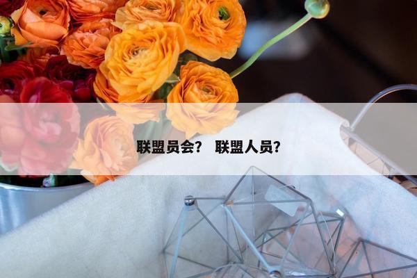 联盟员会？ 联盟人员？