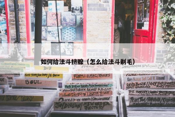 如何给法斗挤腺（怎么给法斗剃毛）