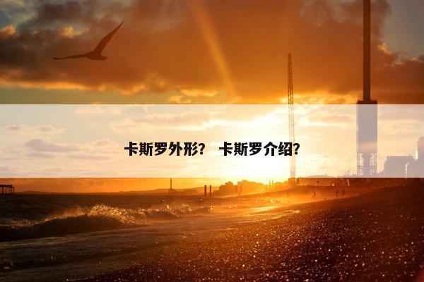 卡斯罗外形？ 卡斯罗介绍？