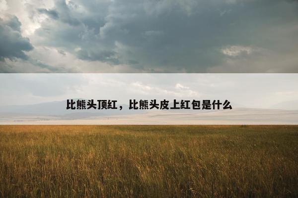 比熊头顶红，比熊头皮上红包是什么