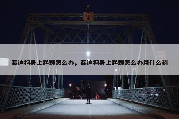泰迪狗身上起赖怎么办，泰迪狗身上起赖怎么办用什么药