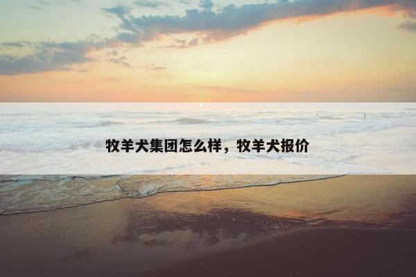 牧羊犬集团怎么样，牧羊犬报价