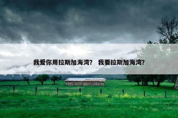 我爱你用拉斯加海湾？ 我要拉斯加海湾？