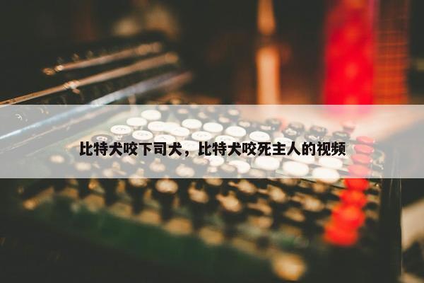比特犬咬下司犬，比特犬咬死主人的视频