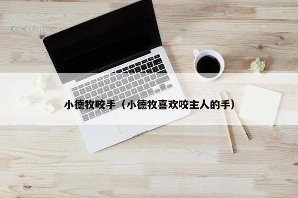 小德牧咬手（小德牧喜欢咬主人的手）
