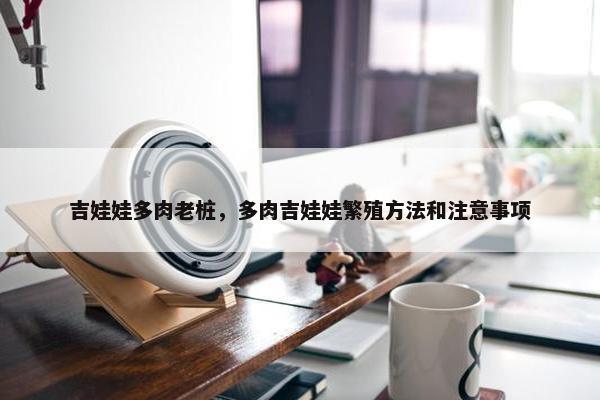 吉娃娃多肉老桩，多肉吉娃娃繁殖方法和注意事项