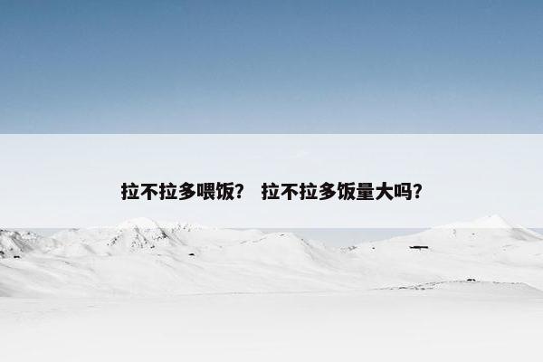 拉不拉多喂饭？ 拉不拉多饭量大吗？