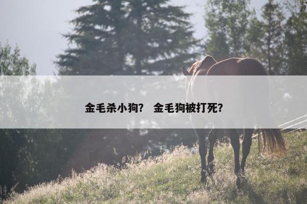 金毛杀小狗？ 金毛狗被打死？