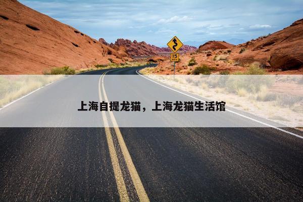 上海自提龙猫，上海龙猫生活馆