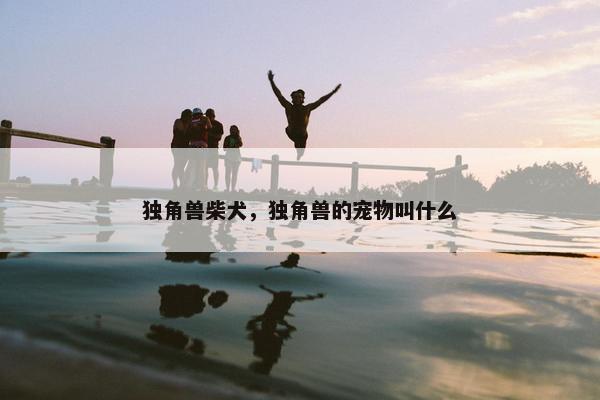 独角兽柴犬，独角兽的宠物叫什么