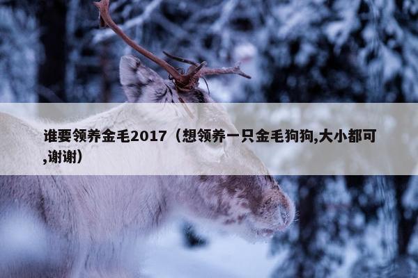 谁要领养金毛2017（想领养一只金毛狗狗,大小都可,谢谢）
