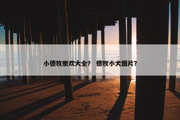 小德牧撒欢大全？ 德牧小犬图片？