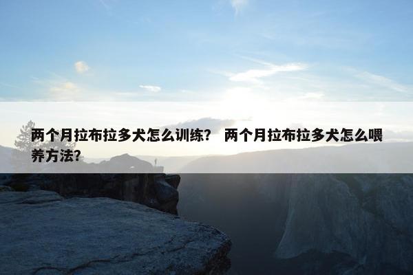 两个月拉布拉多犬怎么训练？ 两个月拉布拉多犬怎么喂养方法？