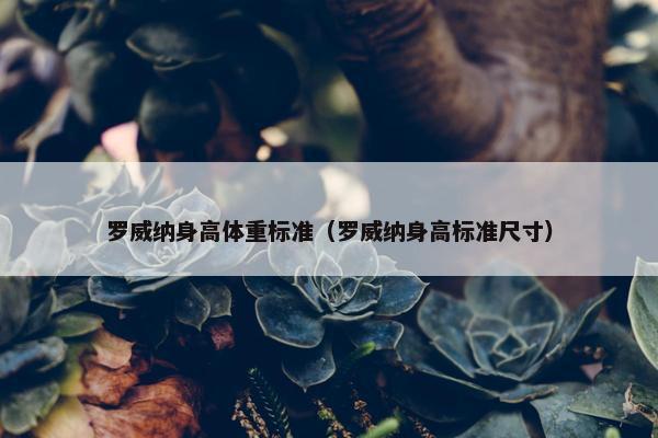 罗威纳身高体重标准（罗威纳身高标准尺寸）
