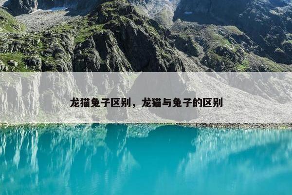 龙猫兔子区别，龙猫与兔子的区别
