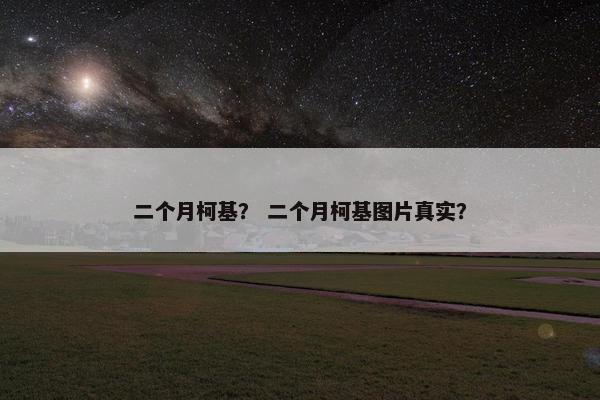 二个月柯基？ 二个月柯基图片真实？