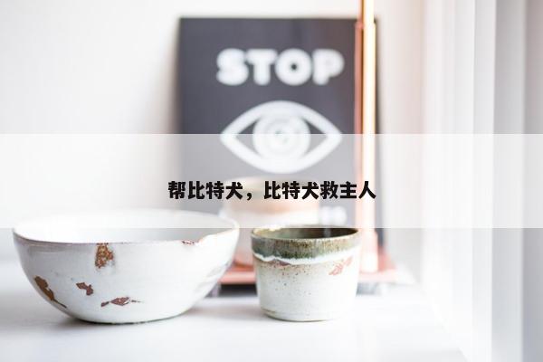 帮比特犬，比特犬救主人