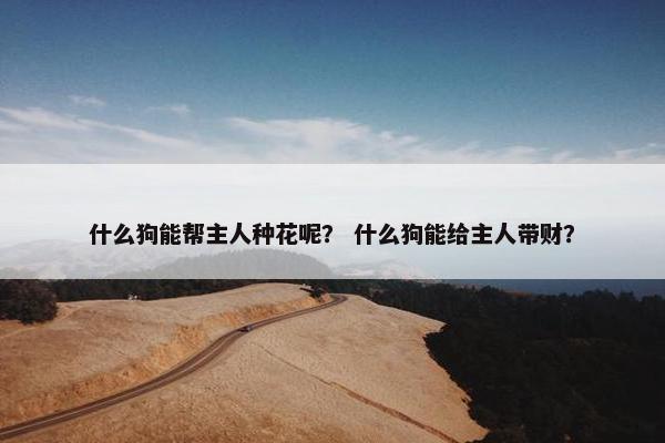 什么狗能帮主人种花呢？ 什么狗能给主人带财？