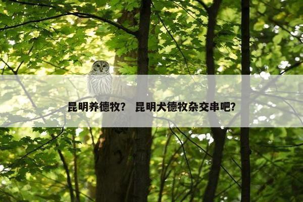 昆明养德牧？ 昆明犬德牧杂交串吧？