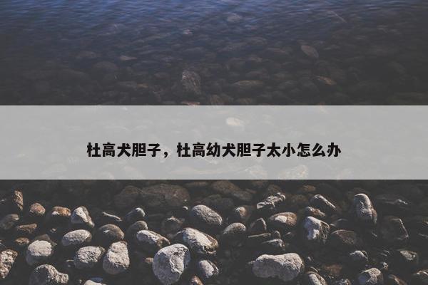 杜高犬胆子，杜高幼犬胆子太小怎么办
